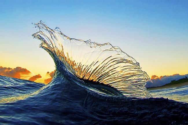 Hawaii photographer finds fine art in massive Pacific waves