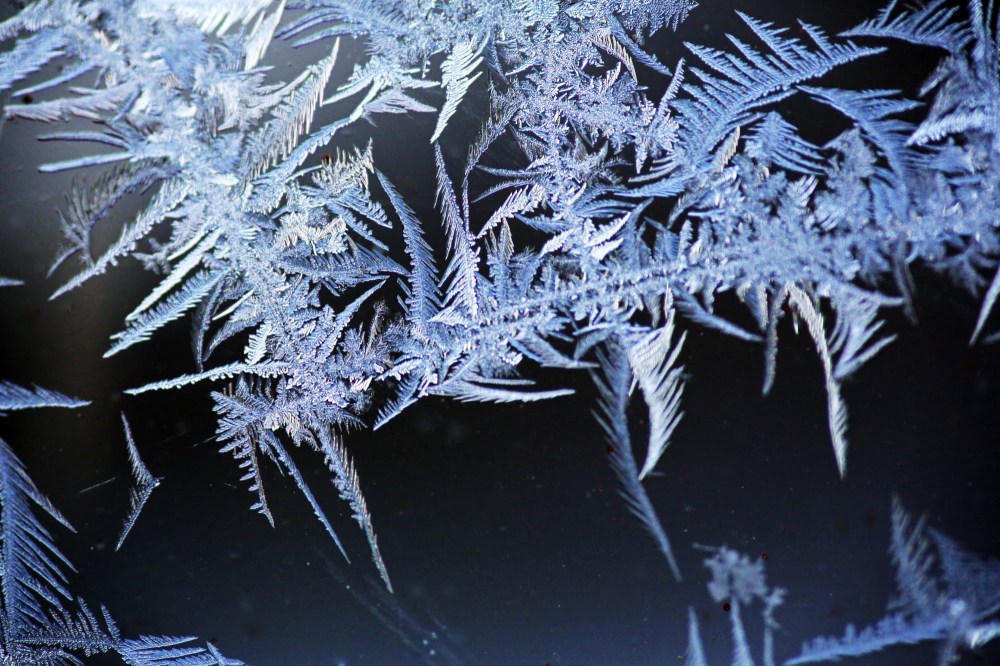 Frost grows on a porch window in Brandon after a Saturday night cold snap plunged temperatures down to -28 C in southwest Manitoba. Environment Canada predicts that thee extreme temperatures will last until Thursday. Today's expected high for Brandon is -25 C, with a low tonight of -33 C. (Matt Goerzen/The Brandon Sun)