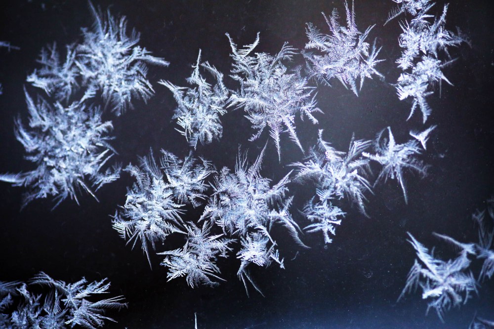 Frost grows on a porch window in Brandon after a Saturday night cold snap plunged temperatures down to -28 C in southwest Manitoba. Environment Canada predicts that thee extreme temperatures will last until Thursday. Today's expected high for Brandon is -25 C, with a low tonight of -33 C. (Matt Goerzen/The Brandon Sun)
