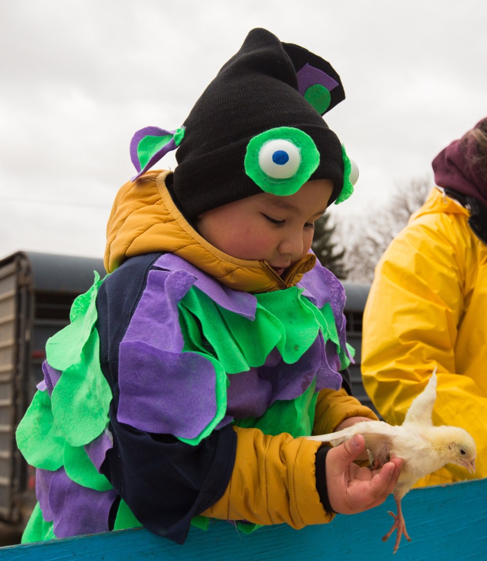 Lawson Maluga, 3, holds a chick at the Calvary Temple Halloween Fun Stop Sunday. The event celebrated the spooky season with candy, games, a petting zoo and free barbecue.(Chelsea Kemp/The Brandon Sun)