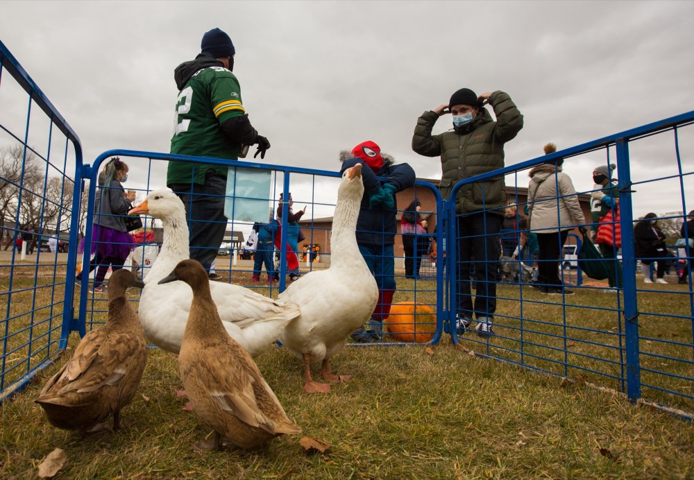 Guests visit geese and ducks at the Calvary Temple Halloween Fun Stop Sunday. The event celebrated the spooky season with candy, games, a petting zoo and free barbecue.(Chelsea Kemp/The Brandon Sun)