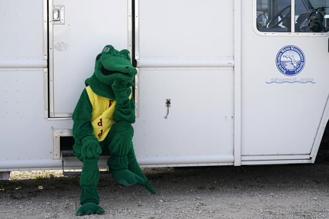 Freddy the Friendly Alligator, the mascot for the South Florida Water Management District, sits in the shade at a media event where Florida Gov. Ron DeSantis announced that registration for the 2022 Florida Python Challenge has opened for the annual 10-day event to be held Aug 5-14, Thursday, June 16, 2022, in Miami. The Python Challenge is intended to engage the public in participating in Everglades conservation through invasive species removal of the Burmese python. (AP Photo/Lynne Sladky)