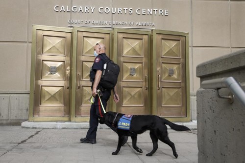 A police officer and a service dog enter the Calgary Courts Centre during COVID-19 restrictions in Calgary, Alta., Monday, May 17, 2021. THE CANADIAN PRESS/Jeff McIntosh