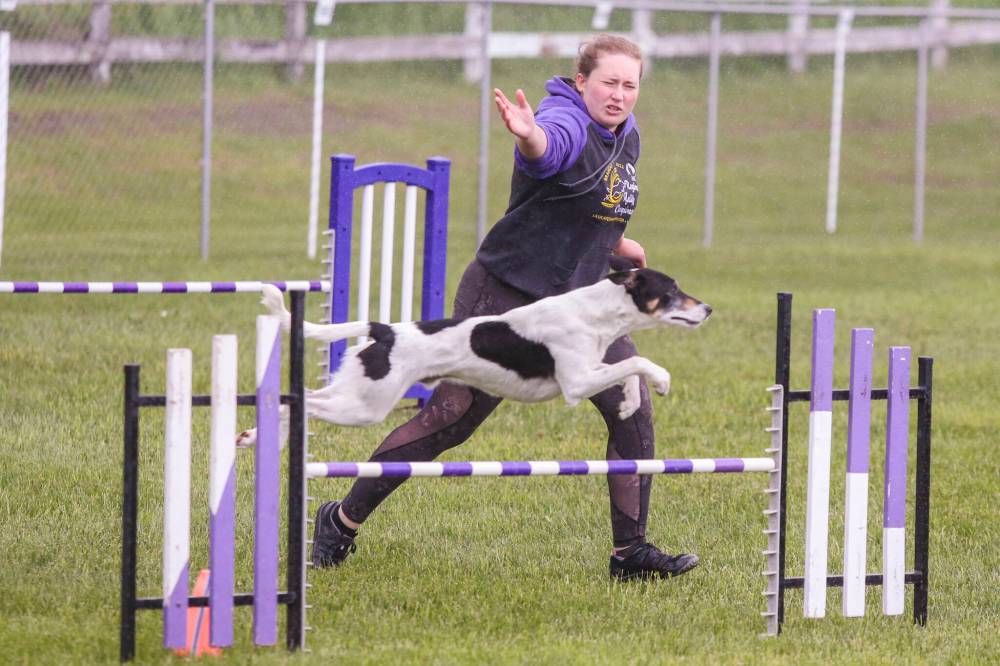Chelsea Kemp/The Brandon Sun
Sarah van Renselaar and her dog Zero compete Saturday during the Saskatchewan, Manitoba, Nunavut Regional Championship at Crocus Obedience and Kennel Club.