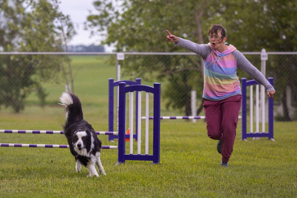 Chelsea Kemp/The Brandon Sun
Melanie Hart and her dog Kavu compete on Saturday.