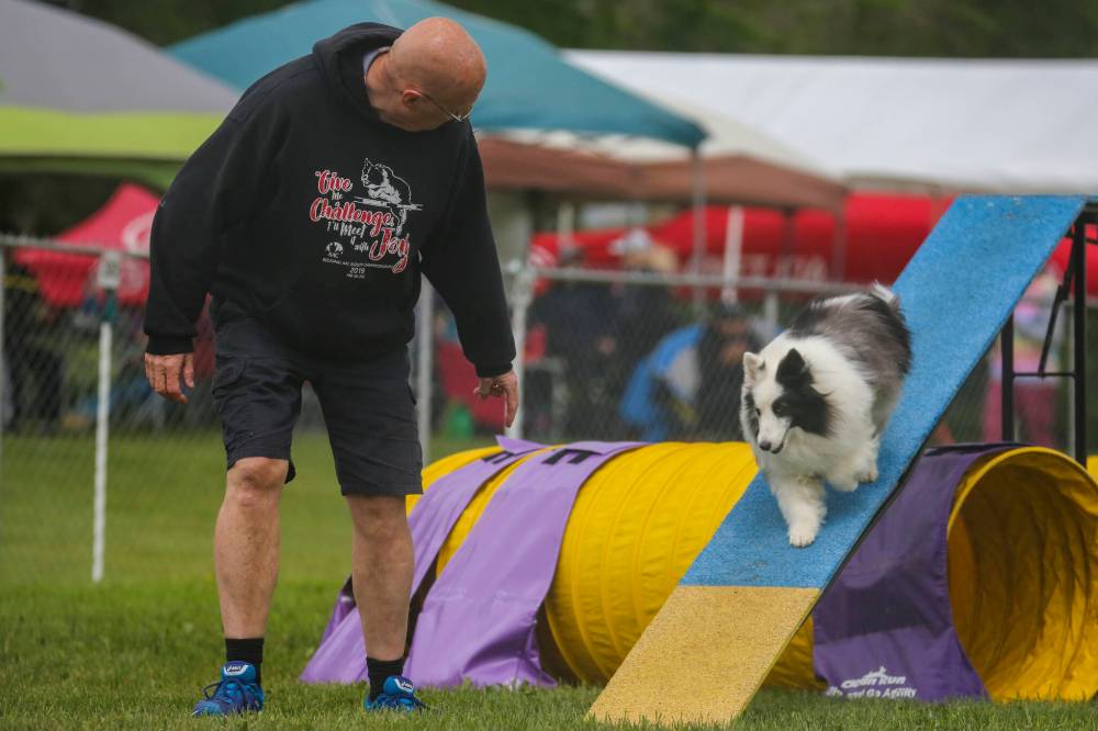 Chelsea Kemp/The Brandon Sun
Kevin Rosnes and his dog Hope compete on Saturday.