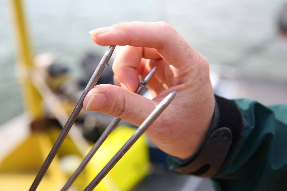 Matt Goerzen/The Brandon Sun
The three-pronged spear used by the scuba divers at Clear Lake to capture the small-mouthed bass, which is considered an invasive species in Riding Mountain National Park.