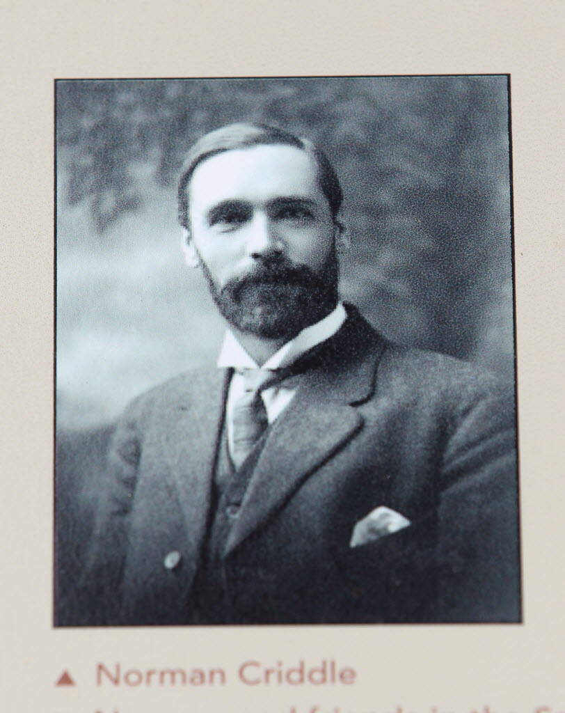 Norman Criddle, one of Percy’s sons.