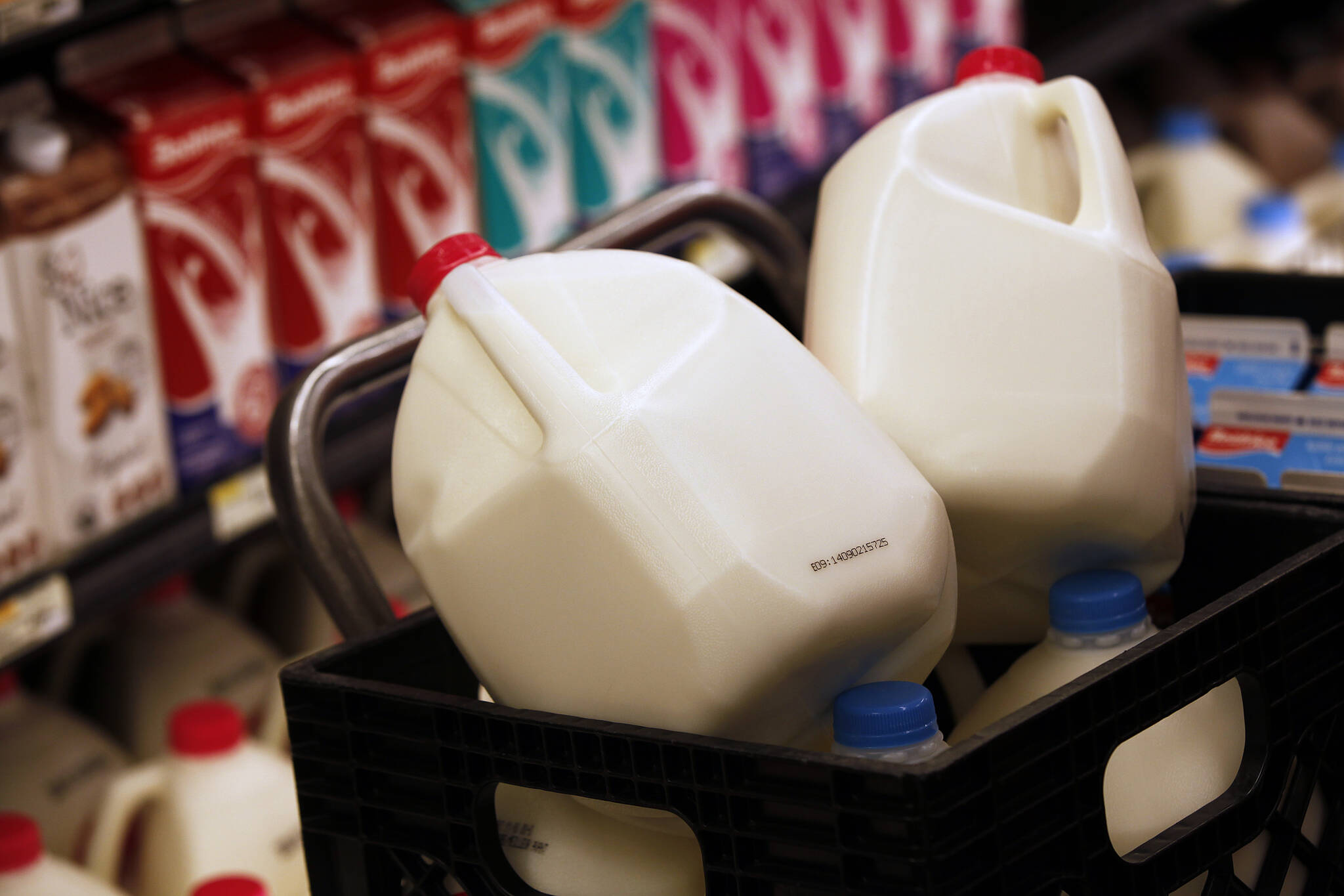 What’s really behind higher milk prices? Brandon Sun