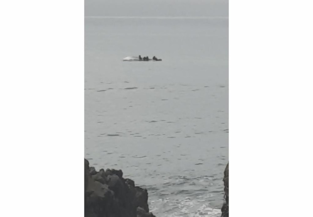 5 dead after New Zealand boat flips in possible whale strike Brandon Sun