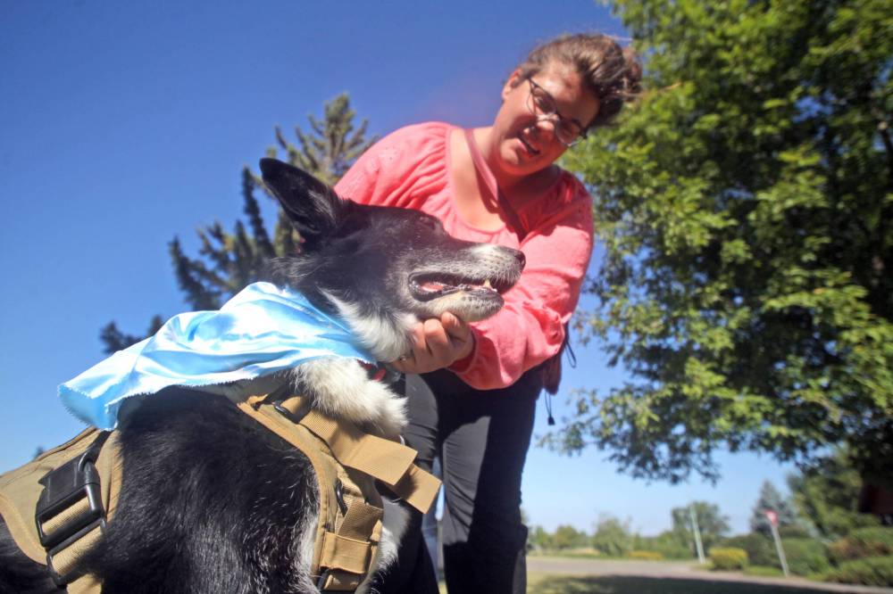 Kaylie Nyman pets Viper, a 11-year-old border collie-husky cross who is in training to be a service dog. (Matt Goerzen/The Brandon Sun)