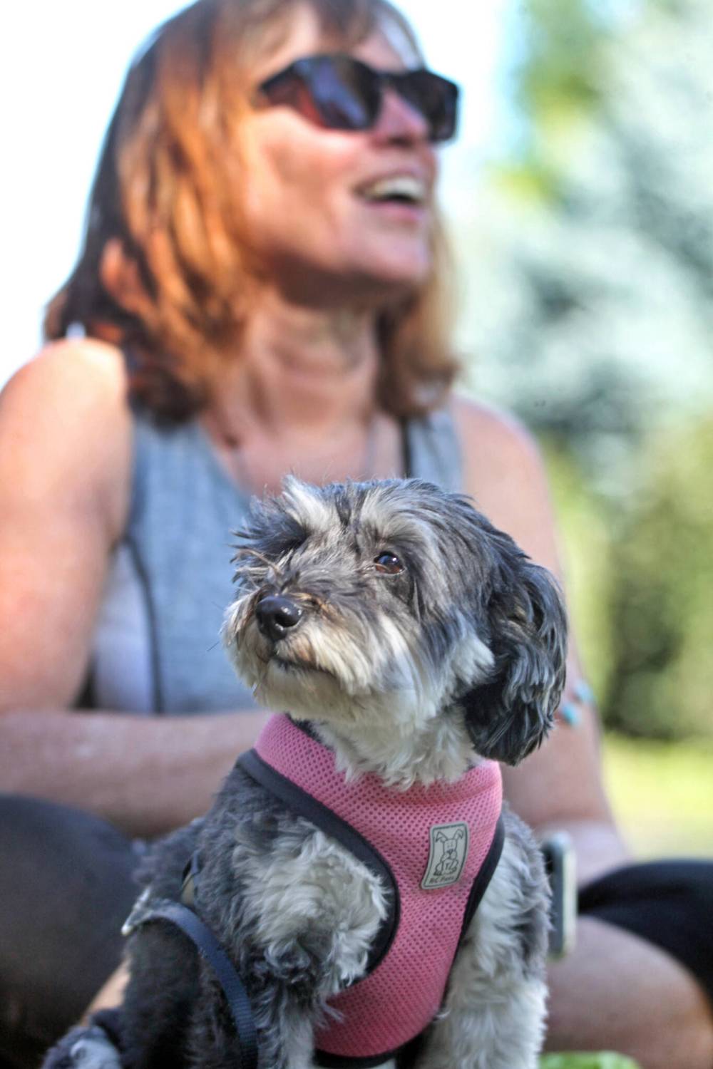 Sandra McNarland sits in the shade with Libby, a Yorkie-Maltese cross. (Matt Goerzen/The Brandon Sun)