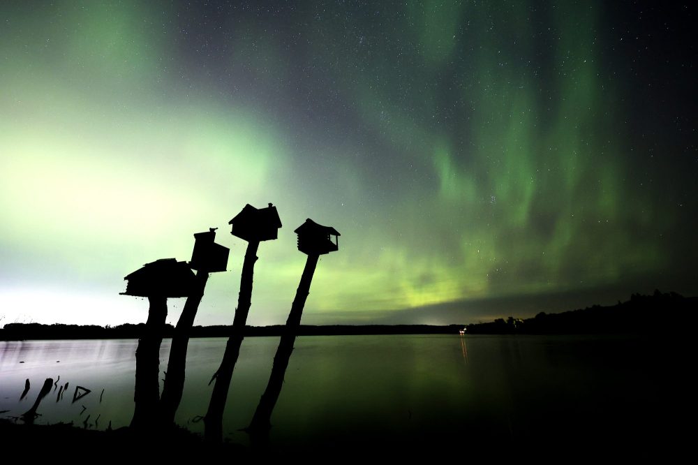 Northern lights dazzle Westman skies Brandon Sun
