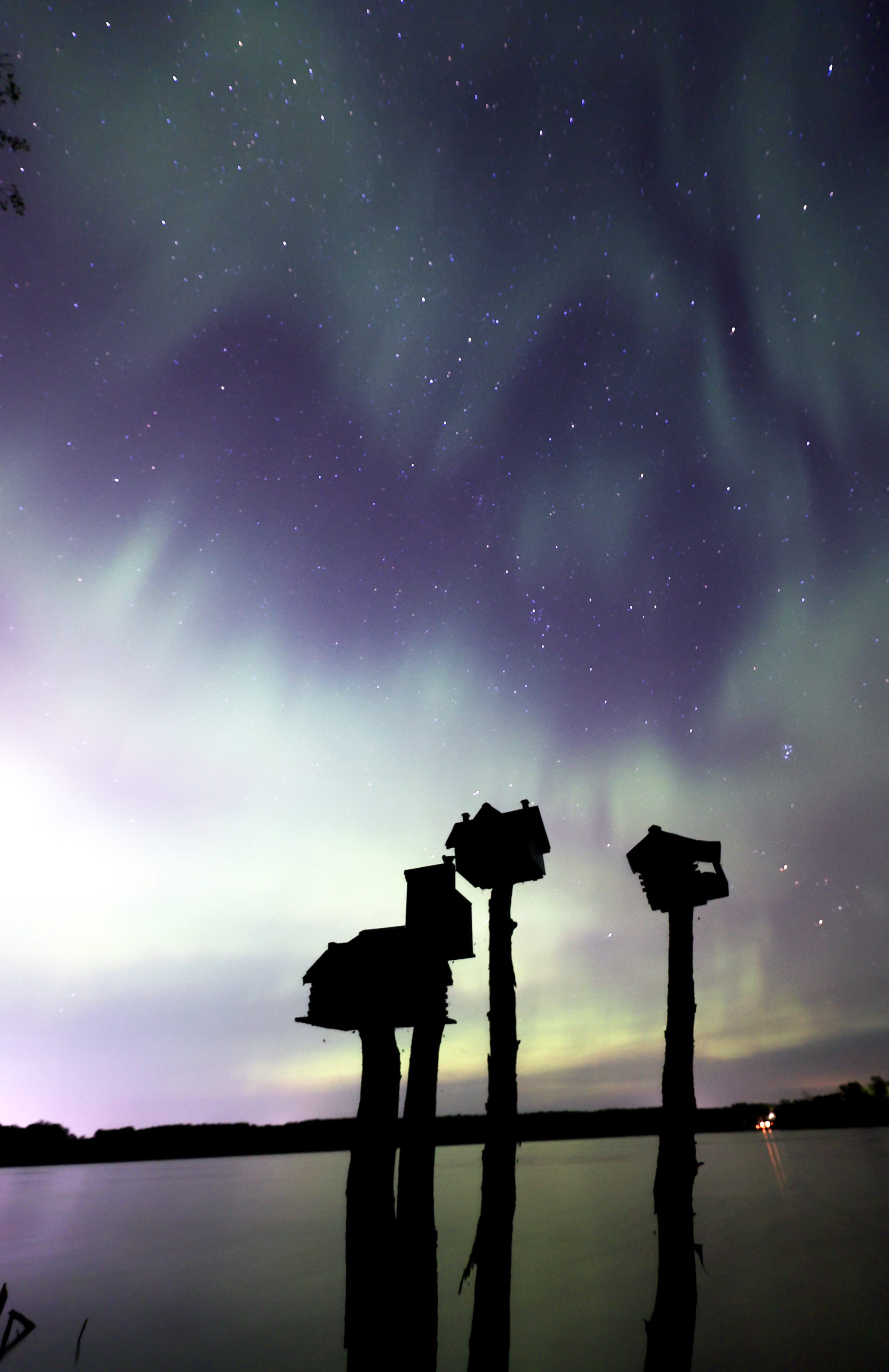 Light Mellow〜City Breeze from East〜 Light Mellow City Breeze From East: VARIOUS ARTISTS: Amazon