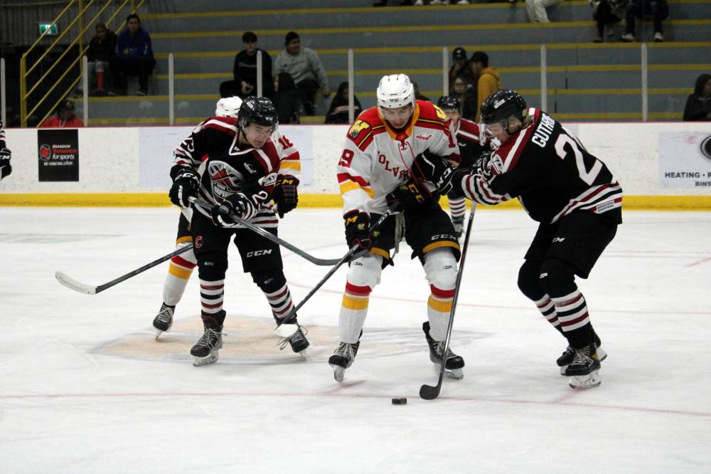 Boucher leading the way for Wolverines Brandon Sun