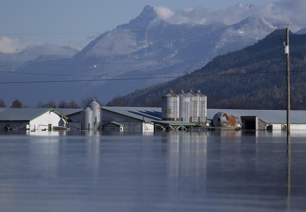 B.C. agriculture minister says sector is recovering well on flooding