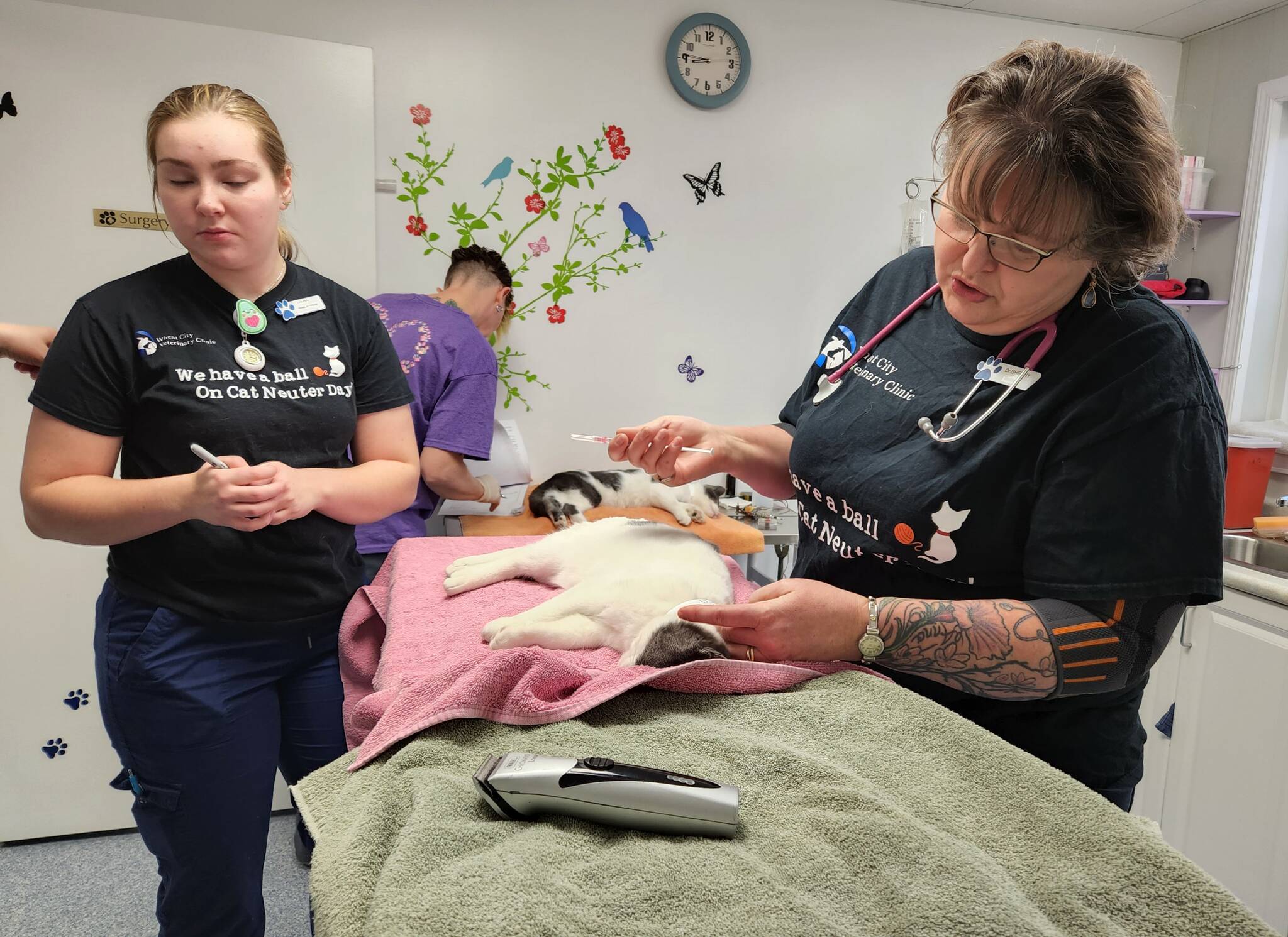 Vet shortage looms over clinic’s neuter day Brandon Sun