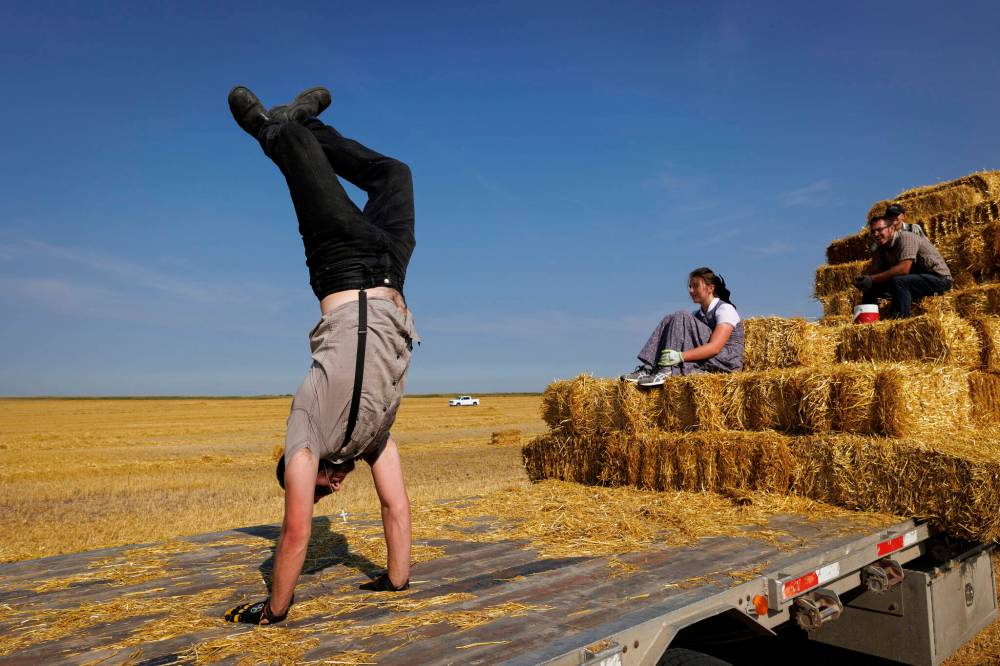 Lukas Hofer walks on his hands atop a flatbed during a pause while loading straw bales with other young people from Deerboine Colony on a hot August afternoon.