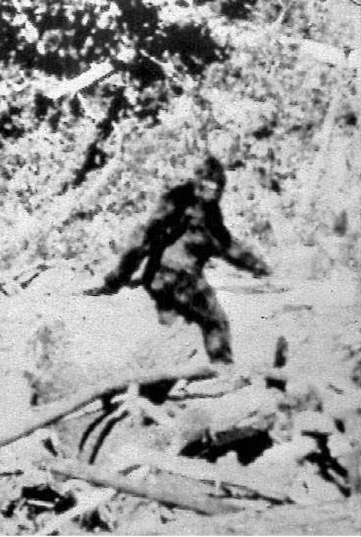 Southwestern Manitoba is no stranger to accounts of the notoriously secretive Bigfoot, who is usually described as a large, muscular, bipedal creature covered in black, dark brown or dark red fur, standing as tall as 4.6 metres. This 1967 frame from a film on sasquatch was later debunked. (File)