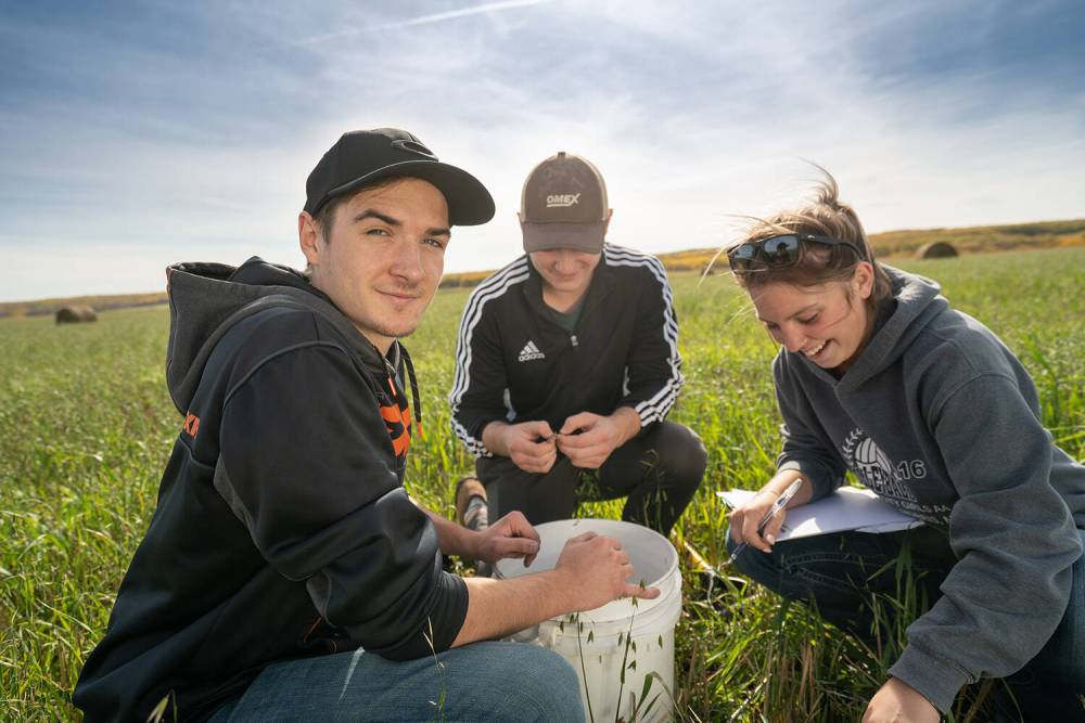 The Weston Family Soil Health Initiative has granted Assiniboine Community College $1.7 million for a five-year project working to improve soil health in Western Canada. (Submitted)