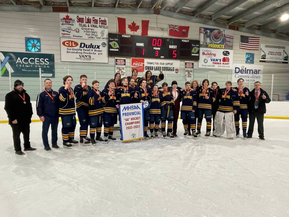 Falcons capture MHSAA AA hockey title Brandon Sun
