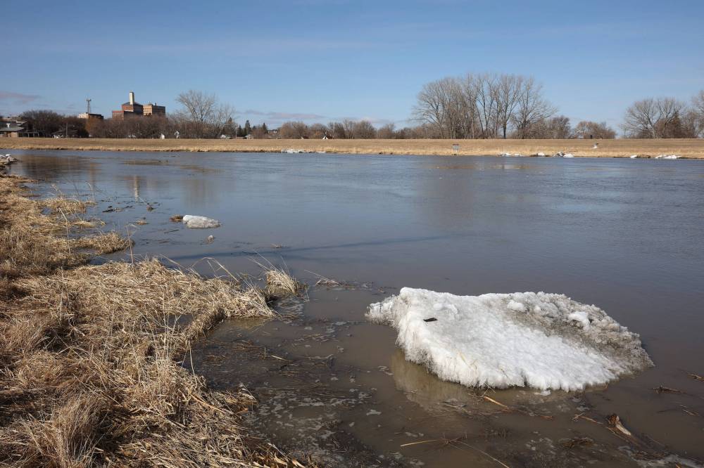 Ice clings to the shore of the swollen Assiniboine River in Brandon. The province issued a flood warning on Friday but the city's emergency co-ordinator says residents needn't worry, just monitor the situation near their properties. (File)