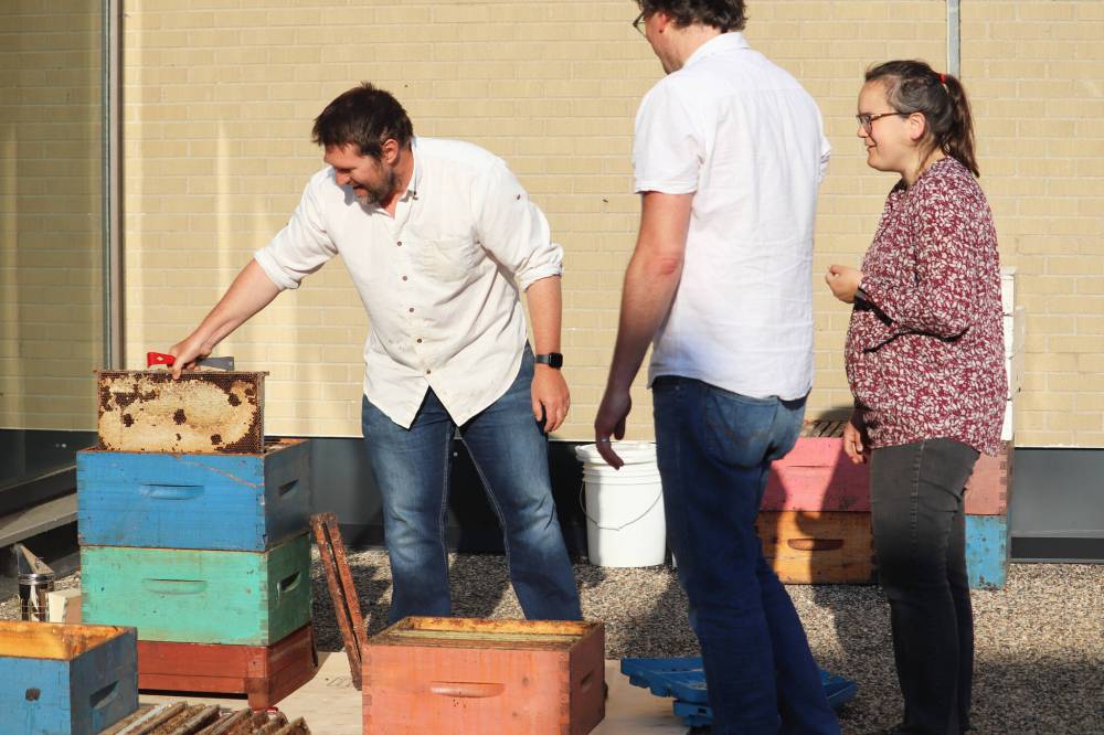 Clark examines a hive frame Saturday morning at Brandon University, lending his expertise as an apiarist to help the school’s Bee U team install a pair of hives on campus for the second year in a row.