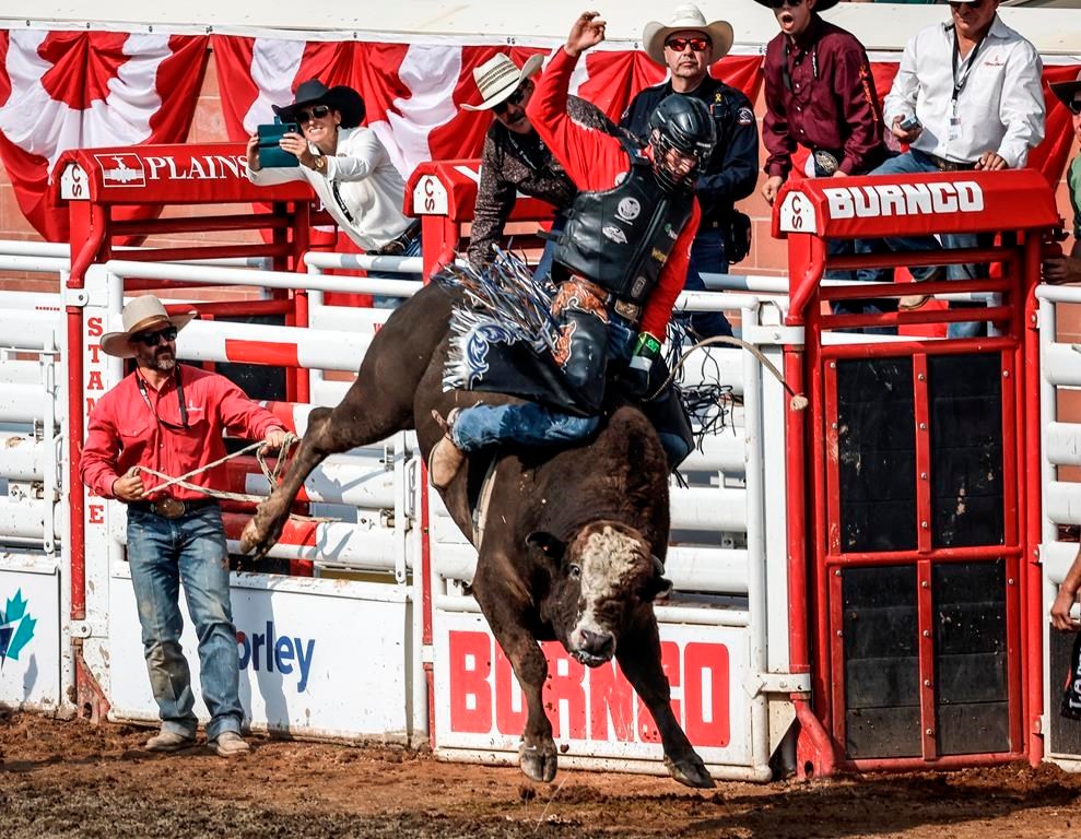 Four Canadians prevail in Calgary Stampede rodeo finals – Brandon Sun