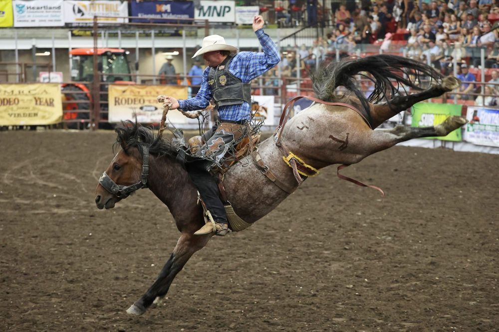 A cowboy tries to stay in the saddle during the Saddle Bronc event at the Friday night go round of the Virden Indoor Rodeo at Tundra Oil & Gas Place. (Tim Smith/The Brandon Sun)