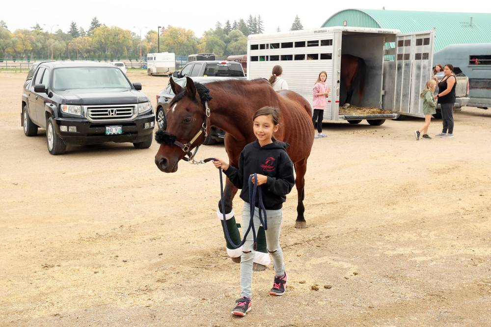Laila Bittner, 9, with Rocky Road Performance Horses walks Arabian horse AK Ringo Star to a stable in the Keystone Centre in advance of the Westman Dressage Fall Festival at the Keystone Centre grounds on Friday. The Fall Festival runs until Sunday.