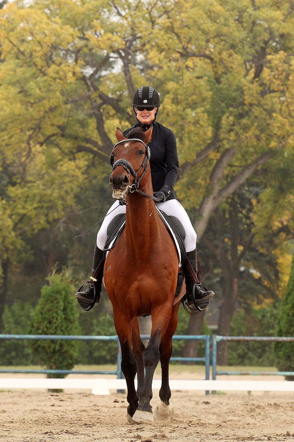 Gillian Storsley Pappas of Brandon rides her Dutch Warmblood Glasgow (Gus) during her English dressage test at the Westman Dressage Fall Festival at the Keystone Centre grounds on Friday. Storsley Pappas' ride was also recorded for an upcoming Kick Cancer's Butt online dressage show.