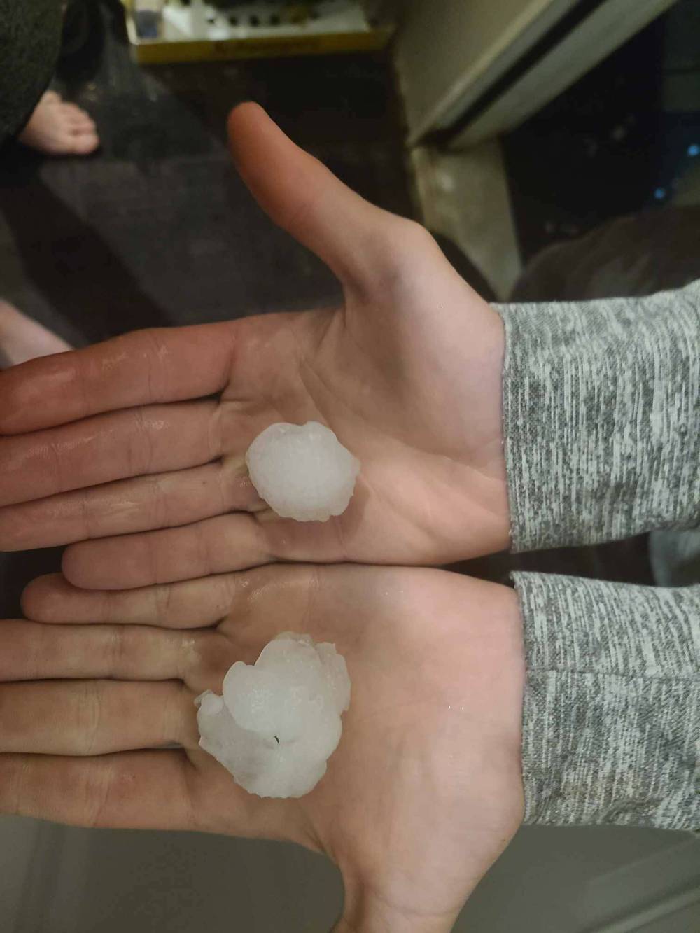Two hailstones almost the size of ping pong balls that fell in Amanda Meir's yard in Oakburn on Sunday night. (Submitted)