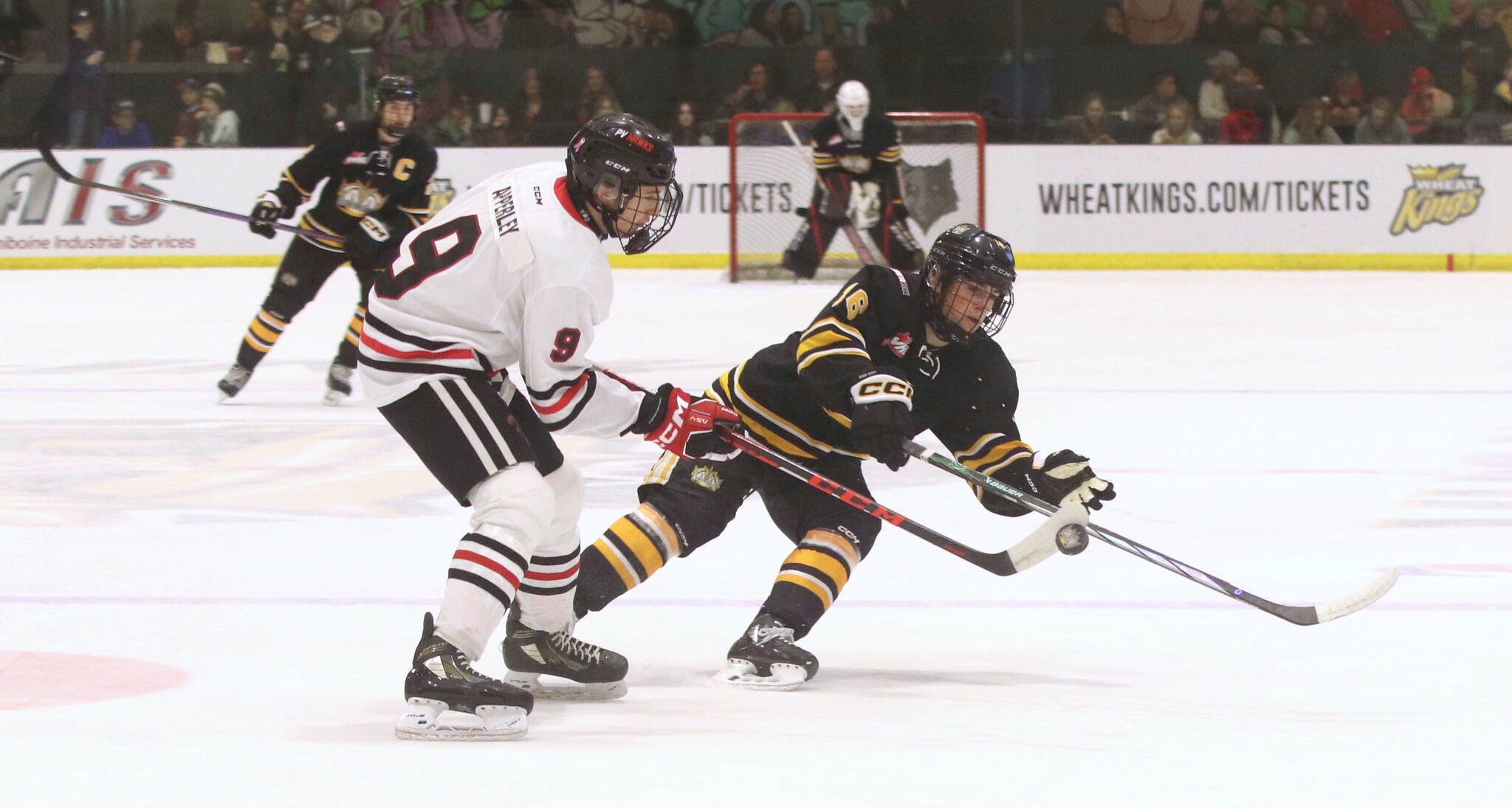 U18 AAA WEEKEND ROUNDUP Wheat Kings improve to 60 Brandon Sun U18 AAA WEEKEND ROUNDUP Wheat Kings improve to 60 Brandon Sun