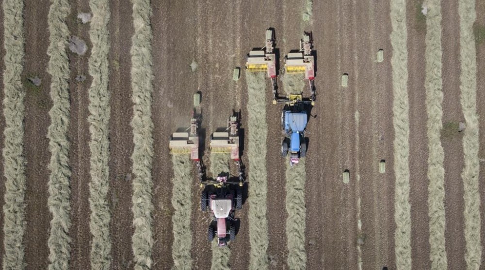 The Manitoba government is increasing a temporary rent reduction for Crown land used by agricultural producers for things like grazing, haying and annual cropping. A family bales their hay crop near Cremona, Alta., Friday, July 29, 2022. THE CANADIAN PRESS/Jeff McIntosh
