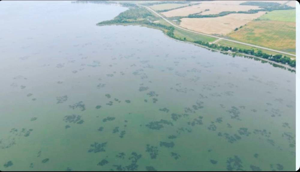 Health and future of Dauphin Lake at risk Brandon Sun