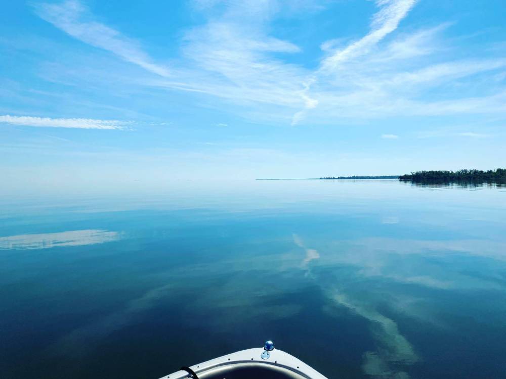 Health and future of Dauphin Lake at risk Brandon Sun