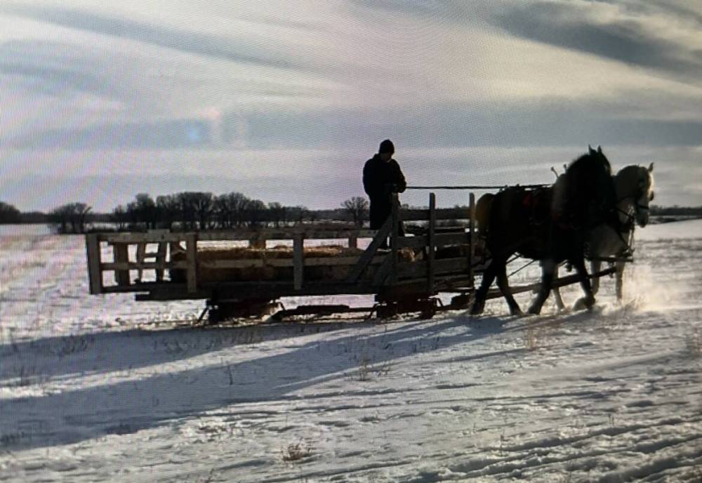 Trickle Creek Sleighrides’ large sleigh for big groups. SUBMITTED
