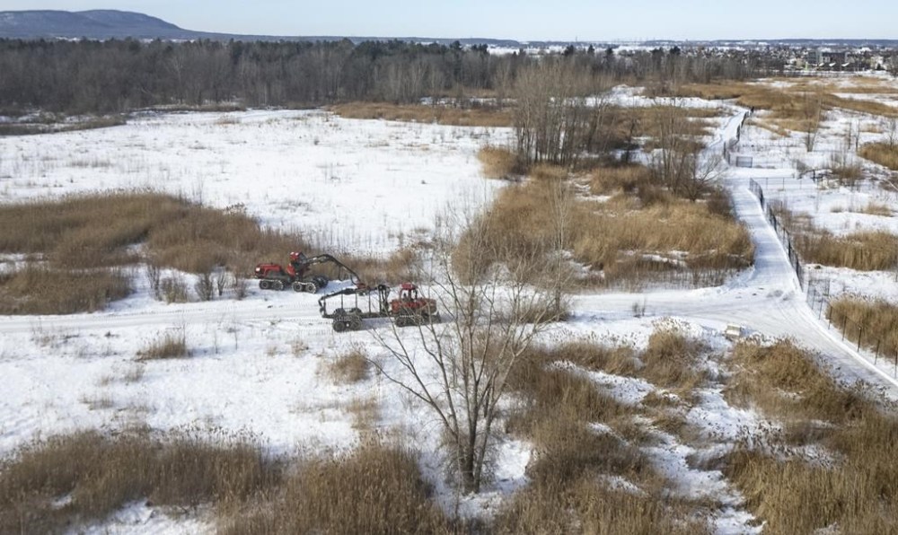 Swedish manufacturer Northvolt says the site of its future electric vehicle battery plant near Montreal was sabotaged after people drove nails into trees that were set be cut down. An aerial view shows the construction site of the new EV battery plant, Northvolt, in St-Basile-le-Grand, east of Montreal, Friday, Jan. 19, 2024. THE CANADIAN PRESS/Christinne Muschi