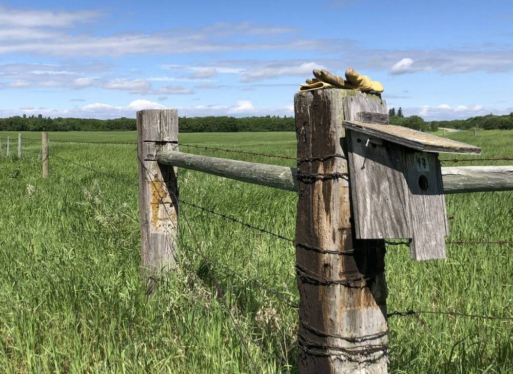 A nest box sits on a fence post in rural southwestern Manitoba. (Submitted)