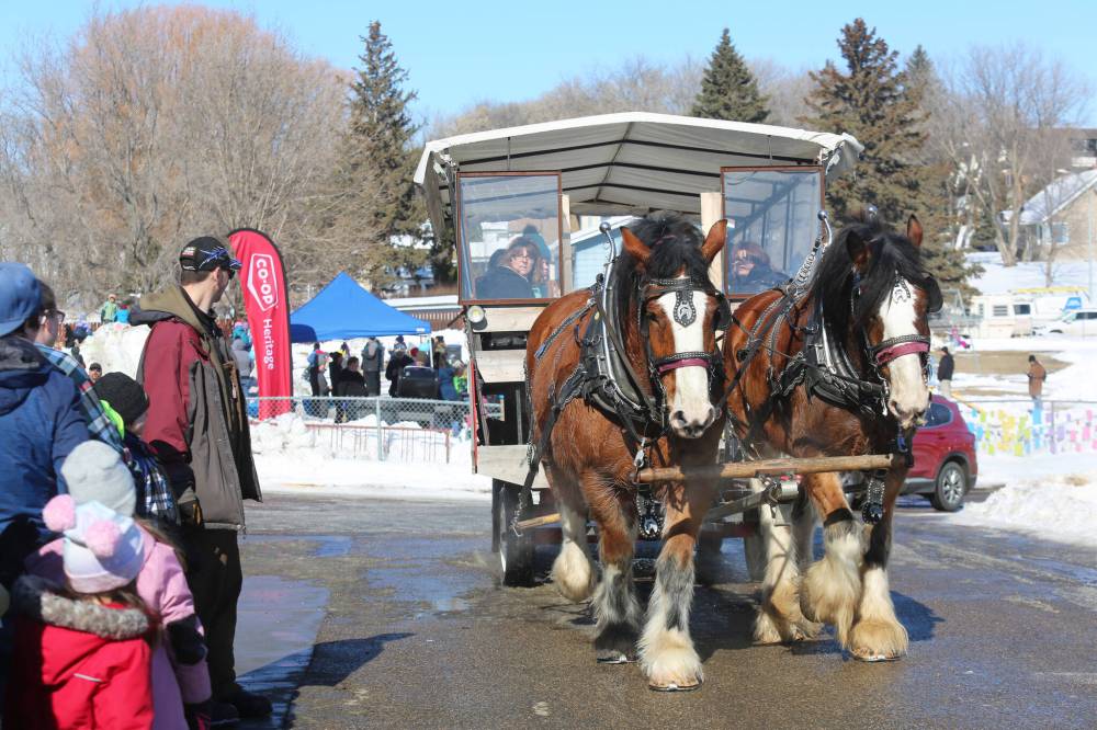 A horse-drawn sleigh pulls up to Brandon’s Community Sportsplex during last year's Winter Fest celebration. The free event returns on March 2. (File)