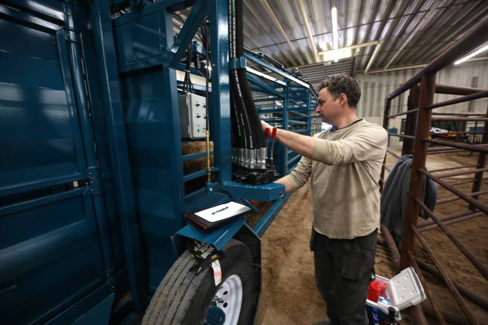 Norman Berlinic of Saskatchewan-based Berlinic Manufacturing operates a portable corral for bison that his company manufactures while unloading a heifer on Thursday.