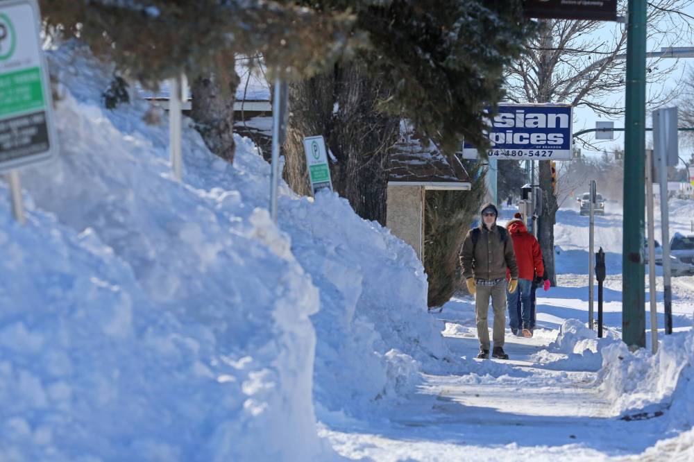 Snow piles tower over STAR FM radio personality Trent Bartley as he walks north along a 10th Street sidewalk near Brandon City Hall on his day off on Monday morning. (Matt Goerzen/The Brandon Sun)