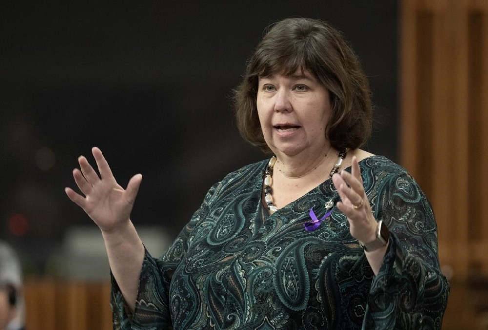 Liberal MP Anita Vandenbeld rises during Question Period, Friday, Dec. 1, 2023 in Ottawa. THE CANADIAN PRESS/Adrian Wyld