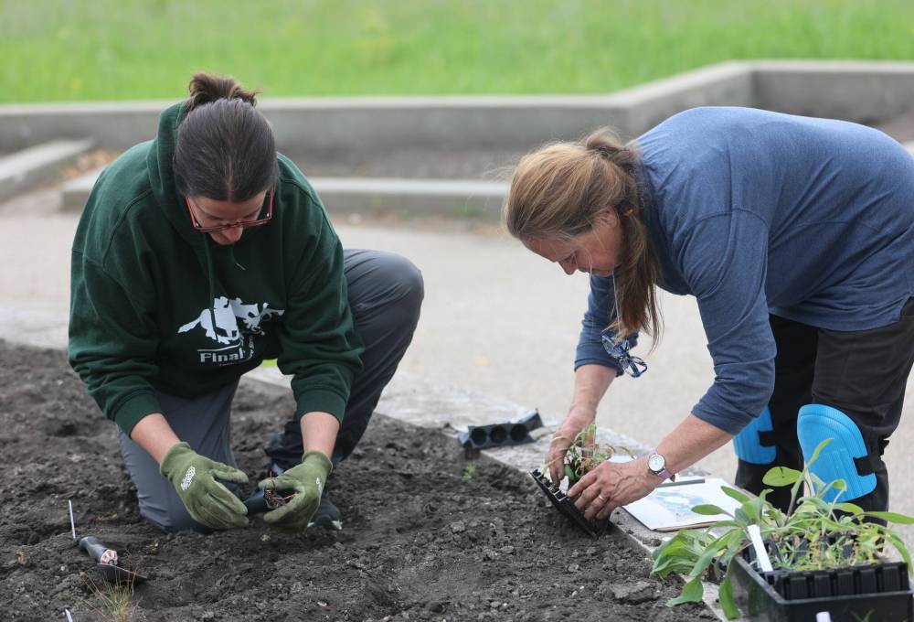 Lindsay Hargreaves and Madelyn Robinson are members of the team of volunteers with Bee Brandon who recently helped plant native flowers and grasses at Eleanor Kidd Park. (Michele McDougall/The Brandon Sun)