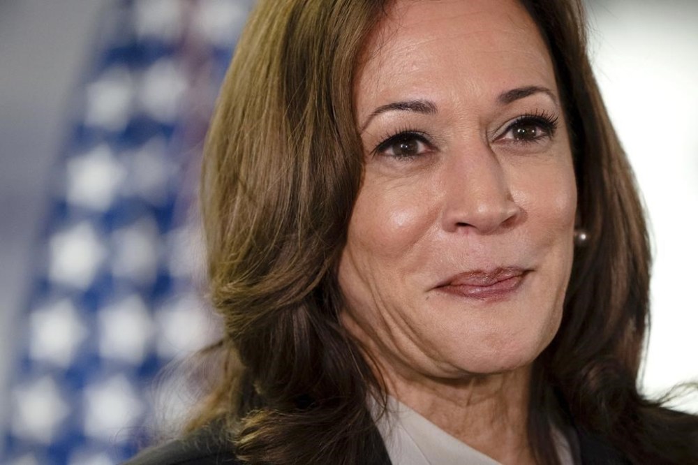 Democrats plan to push ahead with virtual roll call ahead of their