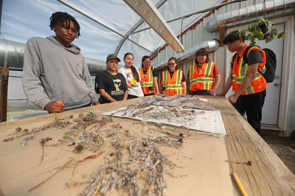 Students at Sioux Valley Dakota Nation stand around a table that holds wildflower seeds on July 11 in a community greenhouse with Jennifer McIvor, (black t-shirt), who has been given responsibility for the community's grassland restoration project. The students helped gather the seeds last fall for the start of the restoration project. (Matt Goerzen/The Brandon Sun)