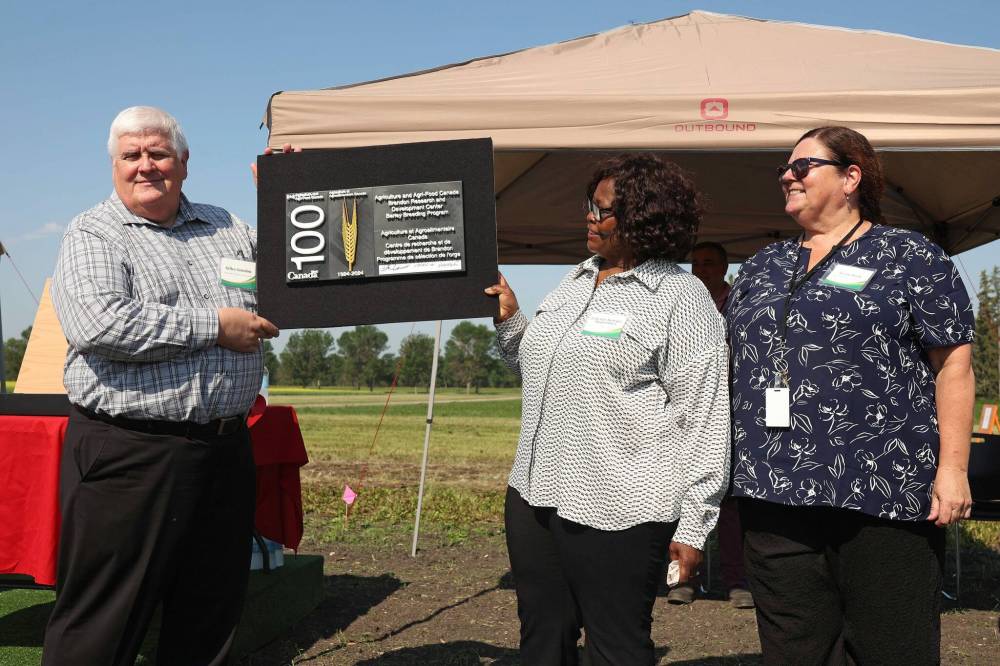 Federal officials Gilles Saindon, Felicitas Katepa-Mupondwa and Susan Bach unveil a 3D-printed plaque recognizing the centennial of the centre’s barley breeding program on Thursday. (Photos by Tim Smith/The Brandon Sun)