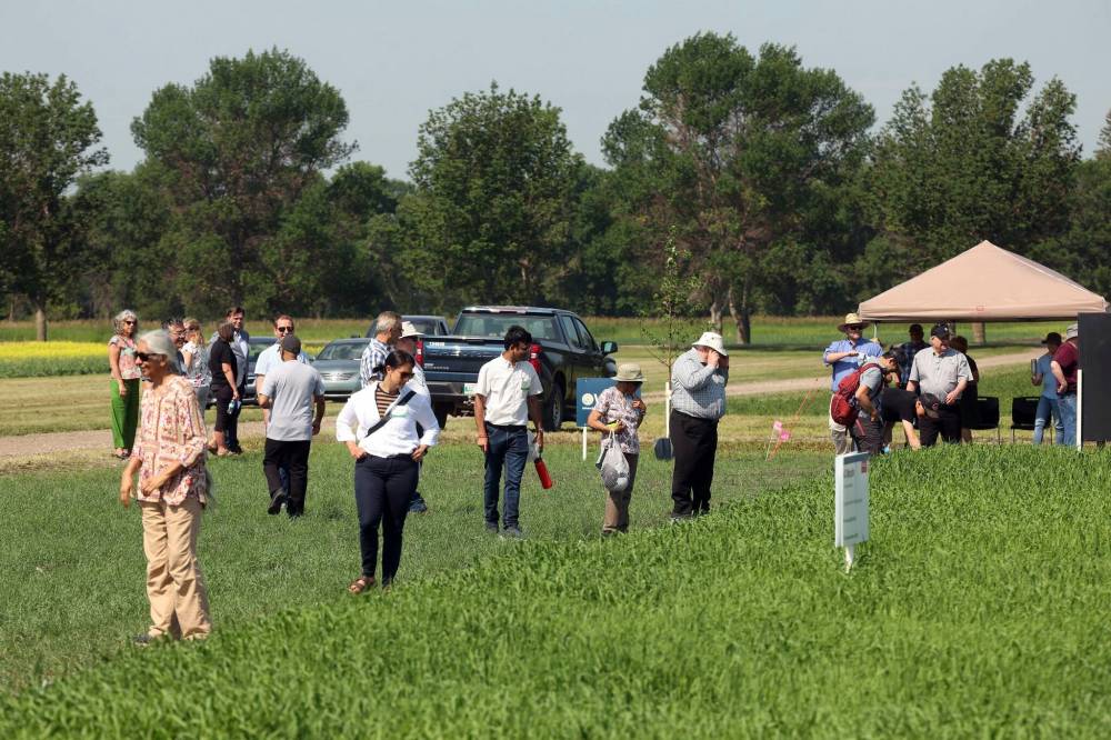 Visitors explore barley strain plots and interactive displays during the centennial celebration of Agriculture and Agri-Food Canada’s Brandon Research and Development Centre barley breeding program on Thursday.