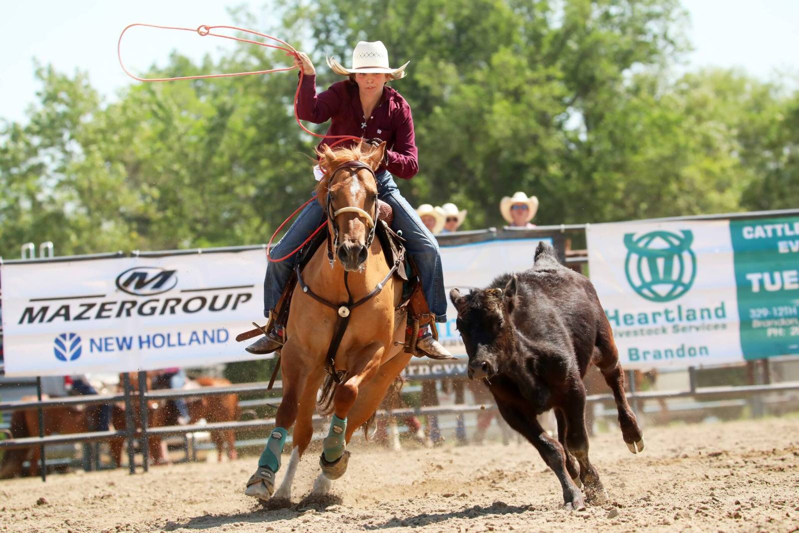 Rodeo kids are living the dream – Brandon Sun