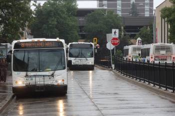 Brandon Transit buses queue at the downtown terminal on a rainy afternoon. (File)
